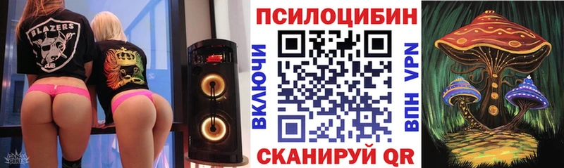 дарнет шоп  Волгоград  Галлюциногенные грибы MAGIC MUSHROOMS 